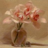 "orchids"