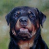 "Otto"