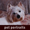 pet portraits
