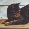 "Step cat"