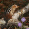 "signs of spring"