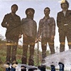 Vetiver