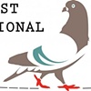 2011 Third Coast Festival Best of the Best National Broadcast