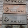 Dominaludus nintendicus