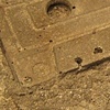 Asportatio acroamatis (brown)
