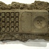 Deferovoculae cellarius