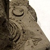 Hilarofustis atarium