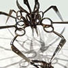 Spiders
