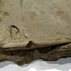 Asportatio octoamatis