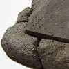 Egosiliqua malusymphonicus
