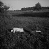 07-26-10, Emily, Ithaca, NY