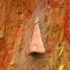 The One Step (Propped Up)