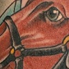 Fred Pinckard