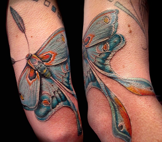 Blue Luna moth
