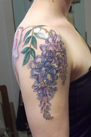 Wisteria Cover Up 