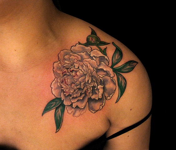 Norma Volz Peony