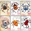 Star Wars spider set