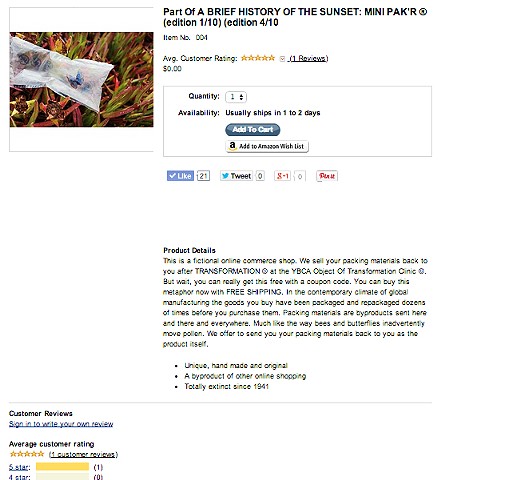 Screen shots from the temporary online amazon e-commerce shop. The shop was both fictional but fully shoppable.