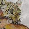 Lepard with Dear