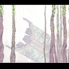 Solar Reboot Environments