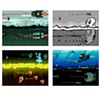 Color roughs with screenshot 2