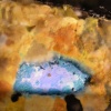 Food Tank- aftermath