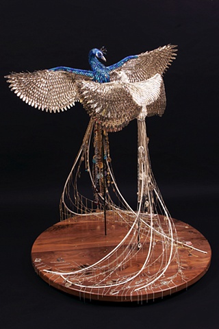 Birds of Paradise