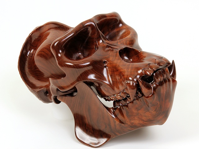 Hominid: Mountain Gorilla, 2011