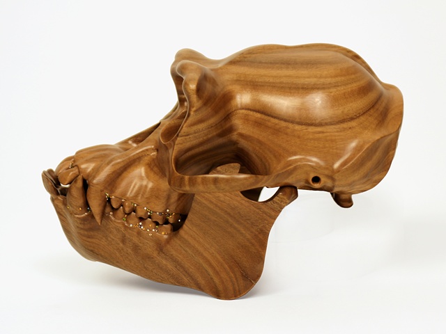 Hominid: Chimpanzee, 2011