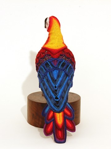 Biodiversity Reclamation Suits for Urban Pigeons: Cuban Red Macaw