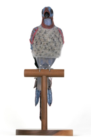 Passenger pigeon