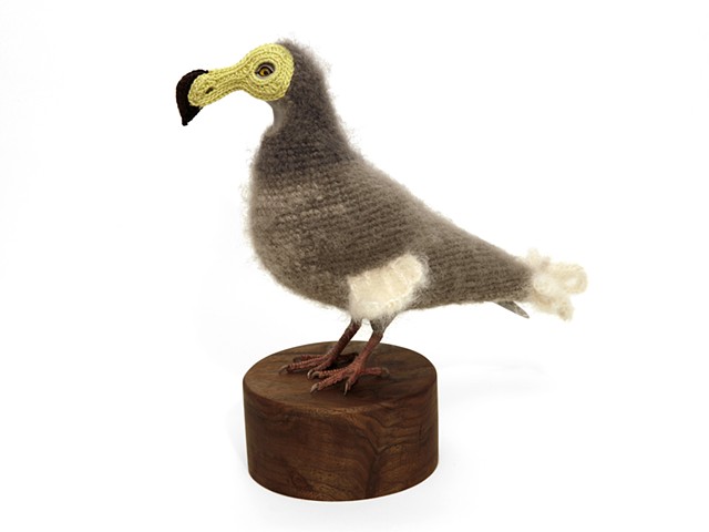Biodiversity Reclamation Suits for Urban Pigeons: Dodo II