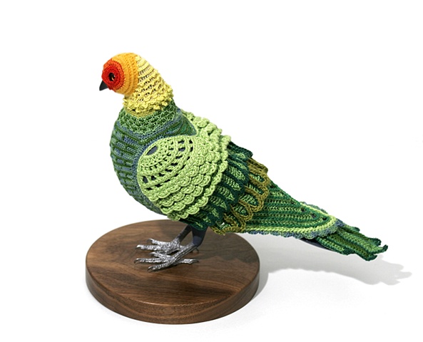 Biodiversity Reclamation Suits for Urban Pigeons: Carolina Parakeet