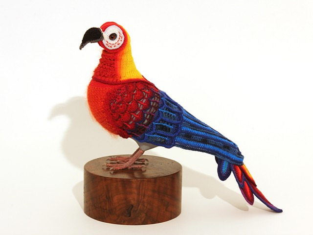 Biodiversity Reclamation Suits for Urban Pigeons: Cuban Red Macaw