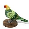 Biodiversity Reclamation Suits for Urban Pigeons: Carolina Parakeet