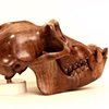 Hominid: Chimpanzee II