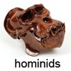 Hominids