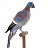 Passenger Pigeon