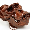 Hominid: Mountain Gorilla, 2011