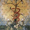 Allegory of the Monoceros