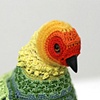  Biodiversity Reclamation Suits for Urban Pigeons: Carolina Parakeet (detail)