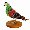 Biodiversity Suits for Urban Pigeons: Paradise Parrot