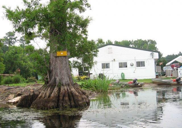 New Kent VA 2008 3531