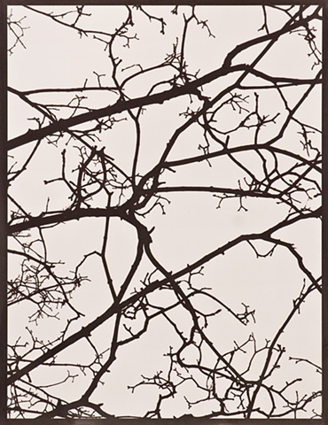 connect the landscape with the quiet of the sky, part 2