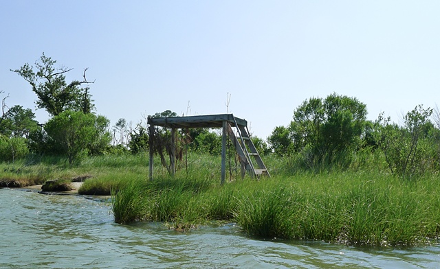 2012-06-30, Horn Harbor, Mathews VA