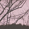 to this Virginia, fertile landscape of soft shoulders, part 1