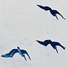 birds hang motionless