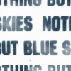 Skies, detail