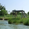 2012-06-30, Horn Harbor, Mathews VA