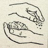 Seeds Sown:  Various Other Projects